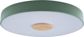 Люстра-тарелка LOFT IT Axel 10003/24 Green