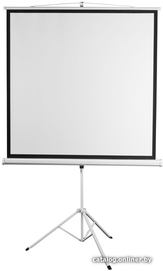 Проекционный экран Digis Kontur-D 248x250 DSKD-1108