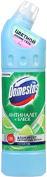 Средство для унитаза Domestos Освежающий цитрус 750 мл