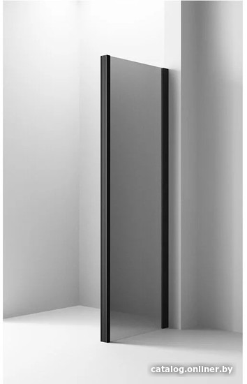 Душевая стенка Ambassador Intense 100x200 100IBB