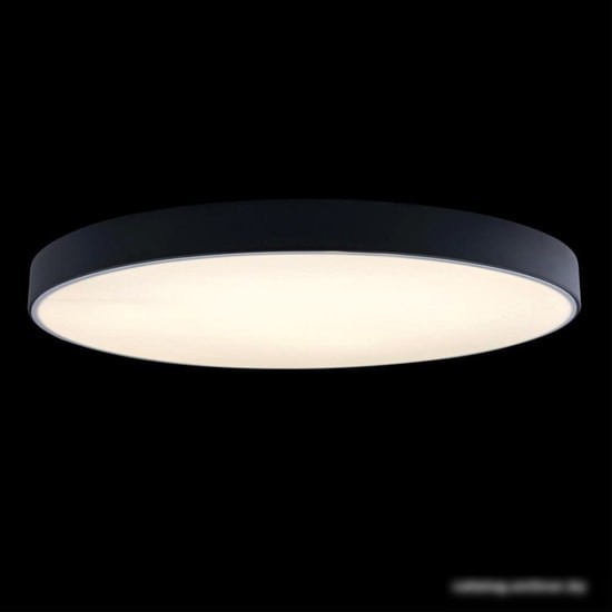 Люстра-тарелка LOFT IT Axel 10002/48 Black