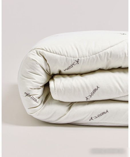 Одеяло АЭлита Comfort Sleep 200x220 (бамбук, 300г)
