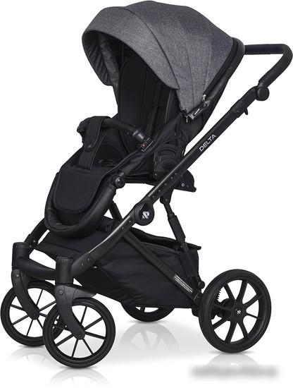 Универсальная коляска Riko Basic Delta (2 в 1, 05/carbon)