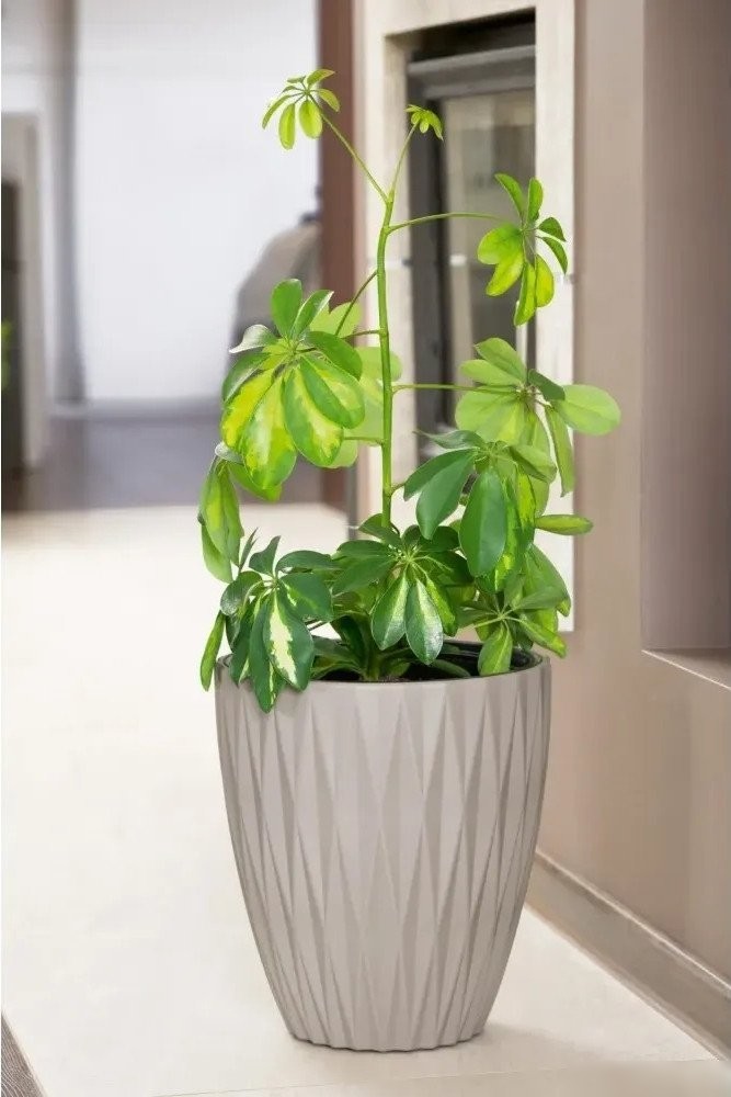 Кашпо Form-Plastic Caro FP-5780-084 (глубокий черный)