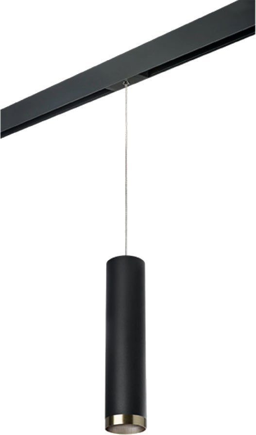Трековый светильник Lightstar Rullo PRORP497431