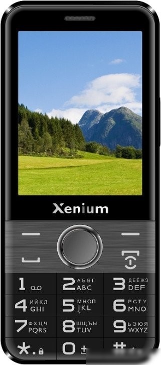 Кнопочный телефон Xenium X800 (черный/серый)