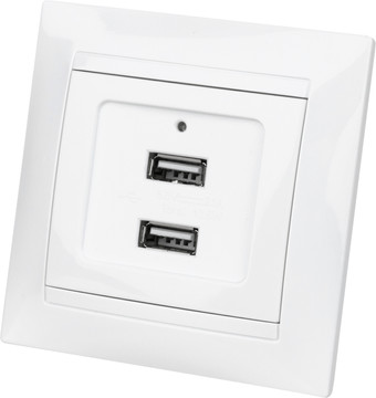 Розетка USB TDM Electric Лама SQ1815-0041