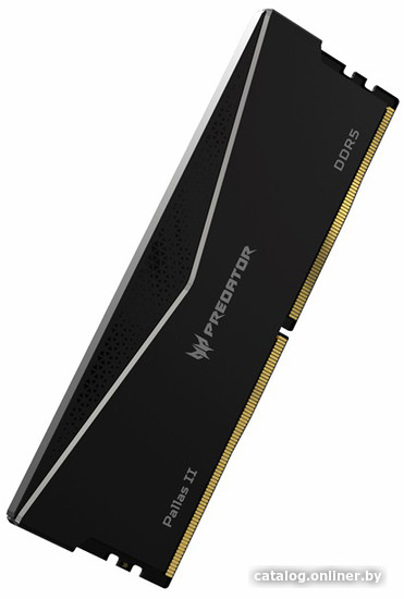 Оперативная память Acer Predator Pallas II 2x32ГБ DDR5 6400 МГц BL.9BWWR.438