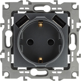 Розетка USB ЭРА 12-4109-12 Б0047846 (графит)