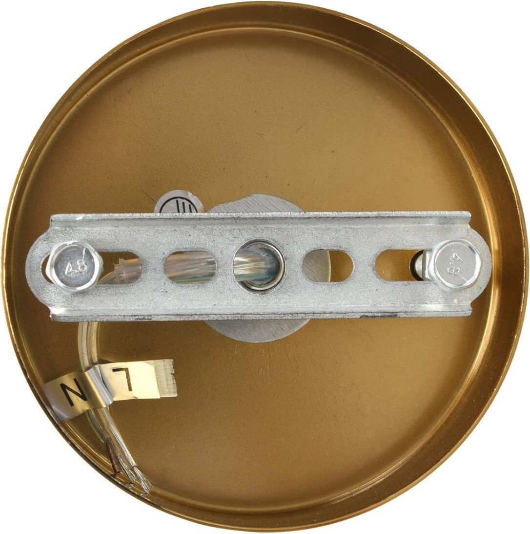 Подвесная люстра Lumion Chipsy 8320/8