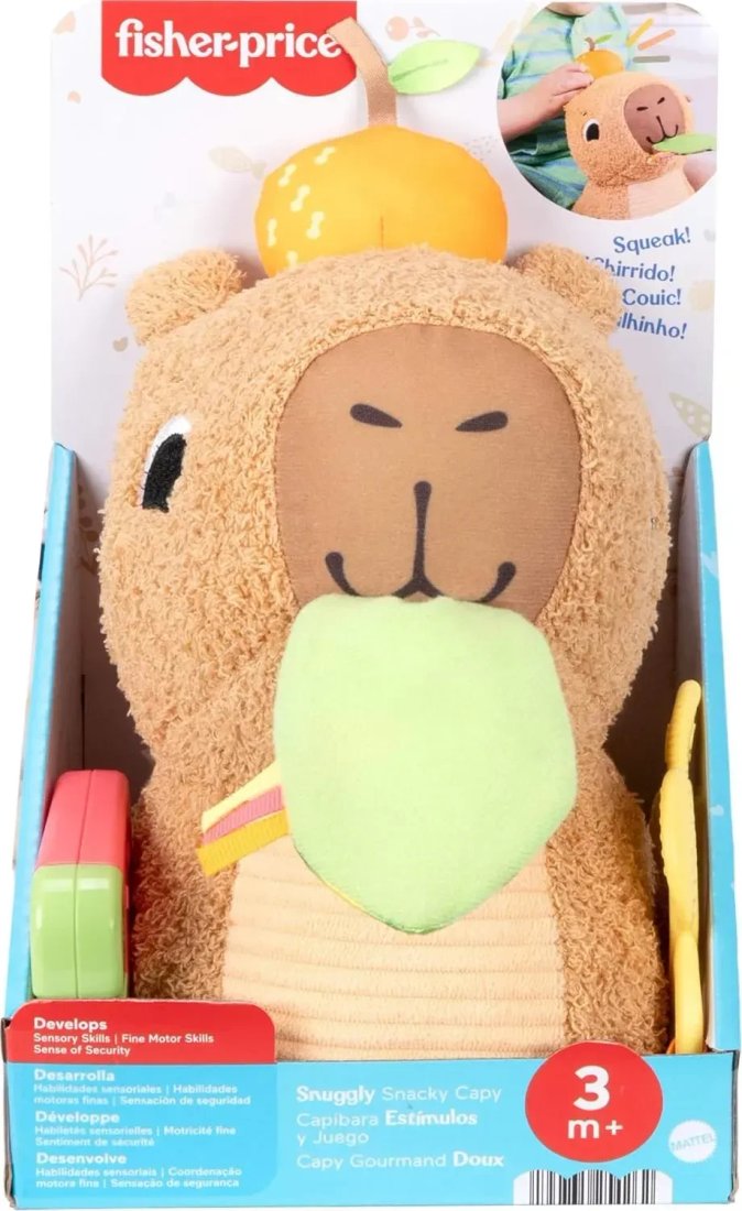 Развивающая игрушка Fisher-Price HYR54