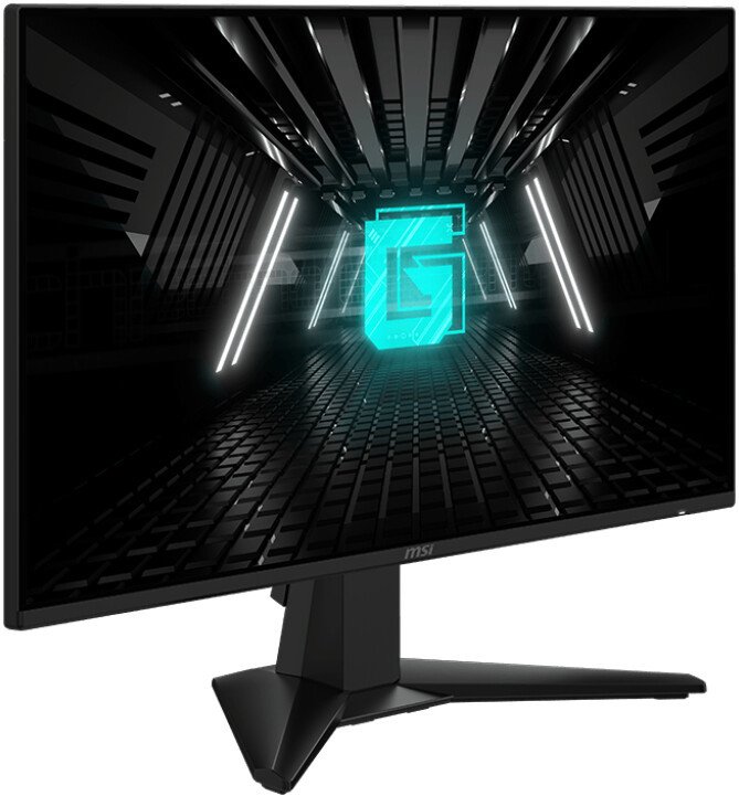 Игровой монитор MSI G242L E14