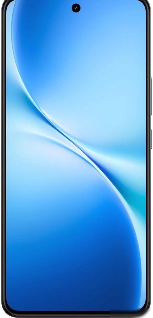 Телефон Vivo V60 Lite 5G V2529 12GB/512GB международная версия (элегантный черный)
