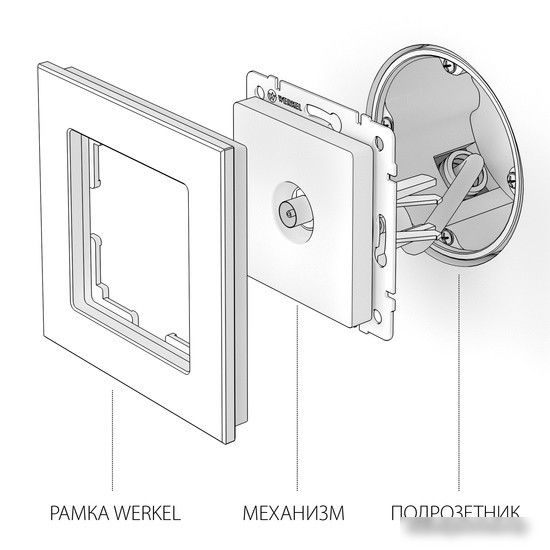 Розетка телевизионная Werkel W1183002 a051075