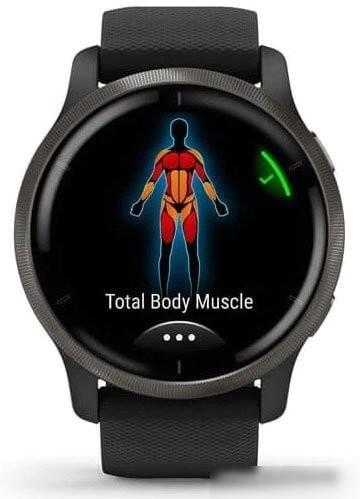 Умные часы Garmin Venu 2 (сланцевая нержавеющая сталь/черный)