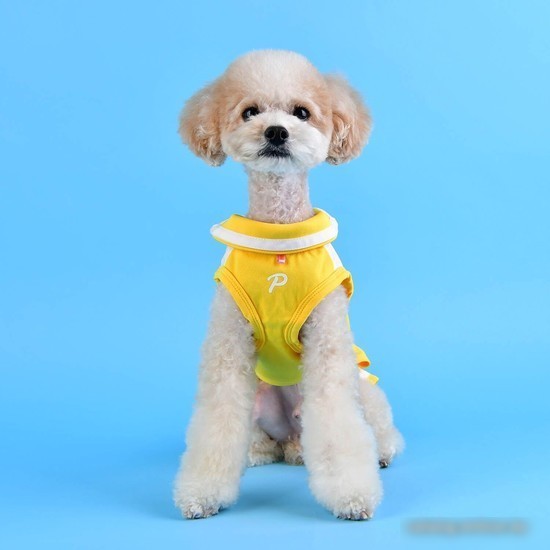 Платье Puppia Ace PATA-OP1742-YE-S (S, желтый)
