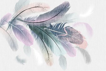 Фотообои Vimala Векторные перья 270x400