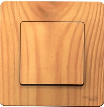 Выключатель Schneider Electric Blanca BLNVS010105