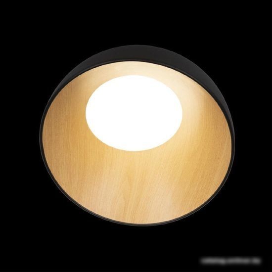 Люстра средней высоты LOFT IT Egg 10197/350 (черный)