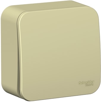 Выключатель Schneider Electric Blanca BLNVA106017