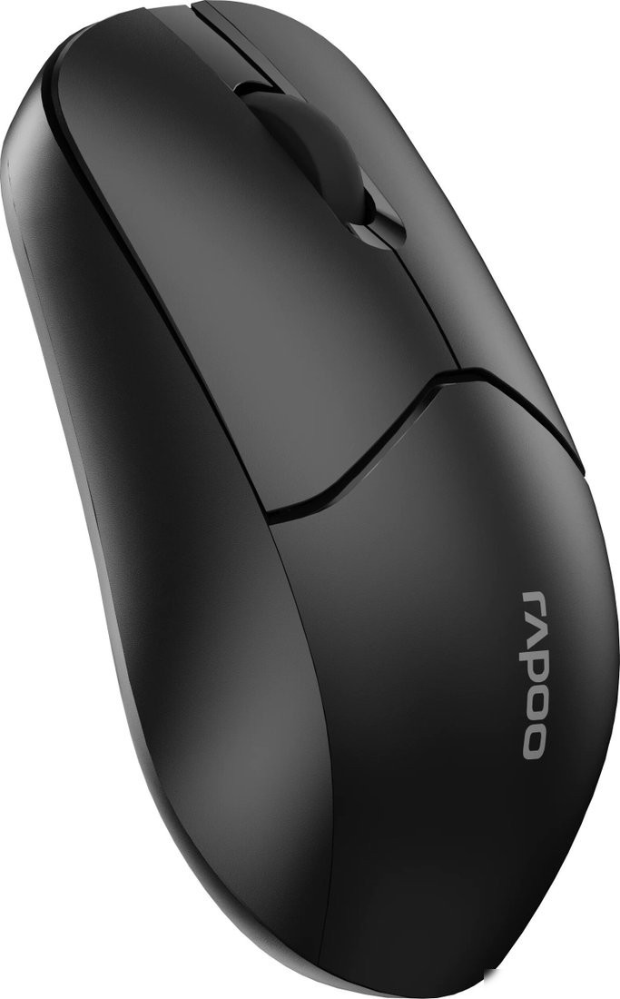 Мышь Rapoo 1510 (черный)