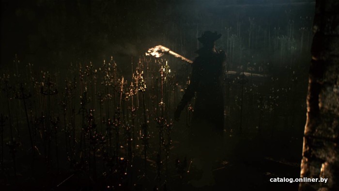 Игра Bloodborne: Порождение крови. Game of the Year Edition для PlayStation 4