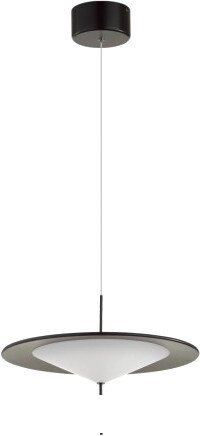 Подвесная люстра Odeon Light Steka 5012/16L