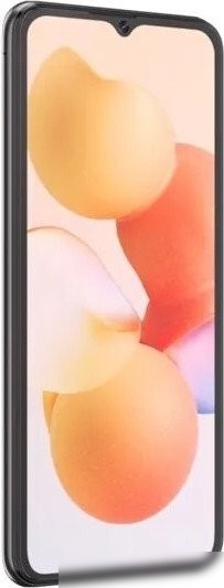 Телефон Cubot A10 4GB/128GB (черный)