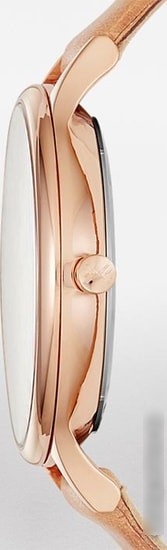 Наручные часы Skagen SKW2405