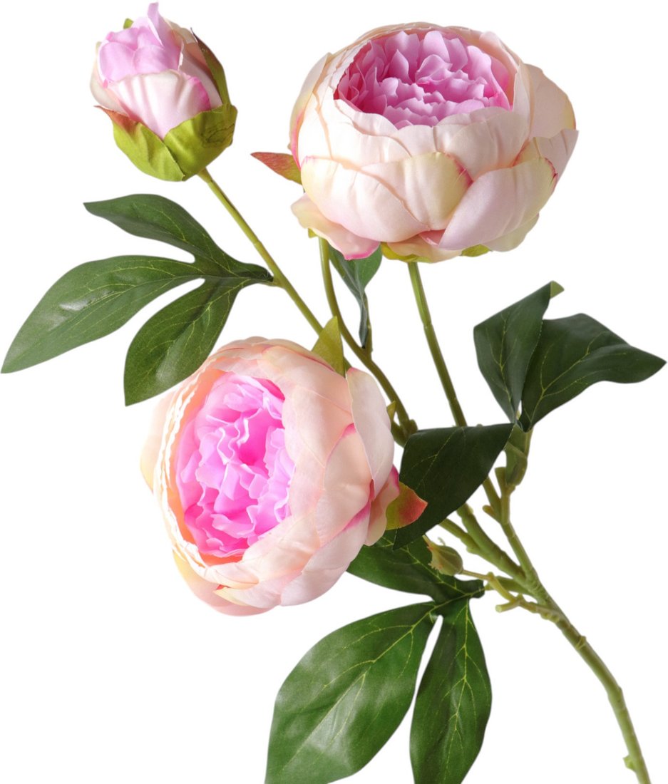 Искусственный цветок Poetry in flowers Пион Бьорг 10970084