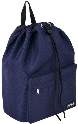 Рюкзак Erich Krause EasyLine 16L Dots in Blue 51787