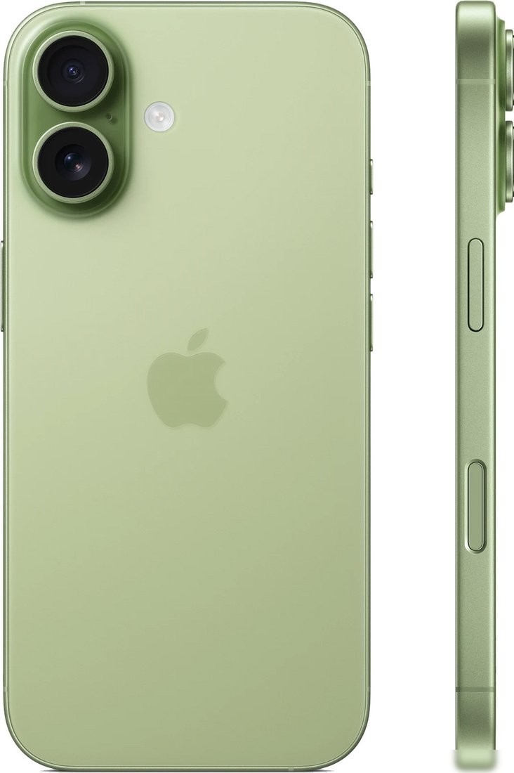 Телефон Apple iPhone 17 Dual eSIM 256GB (зеленый)