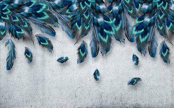 Фотообои Vimala 3D Перья сверху 270x400