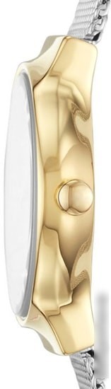 Наручные часы Skagen SKW2666
