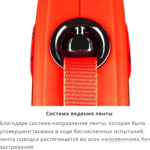Поводок-рулетка Flexi Xtreme XT00T3.251.OR (XS)