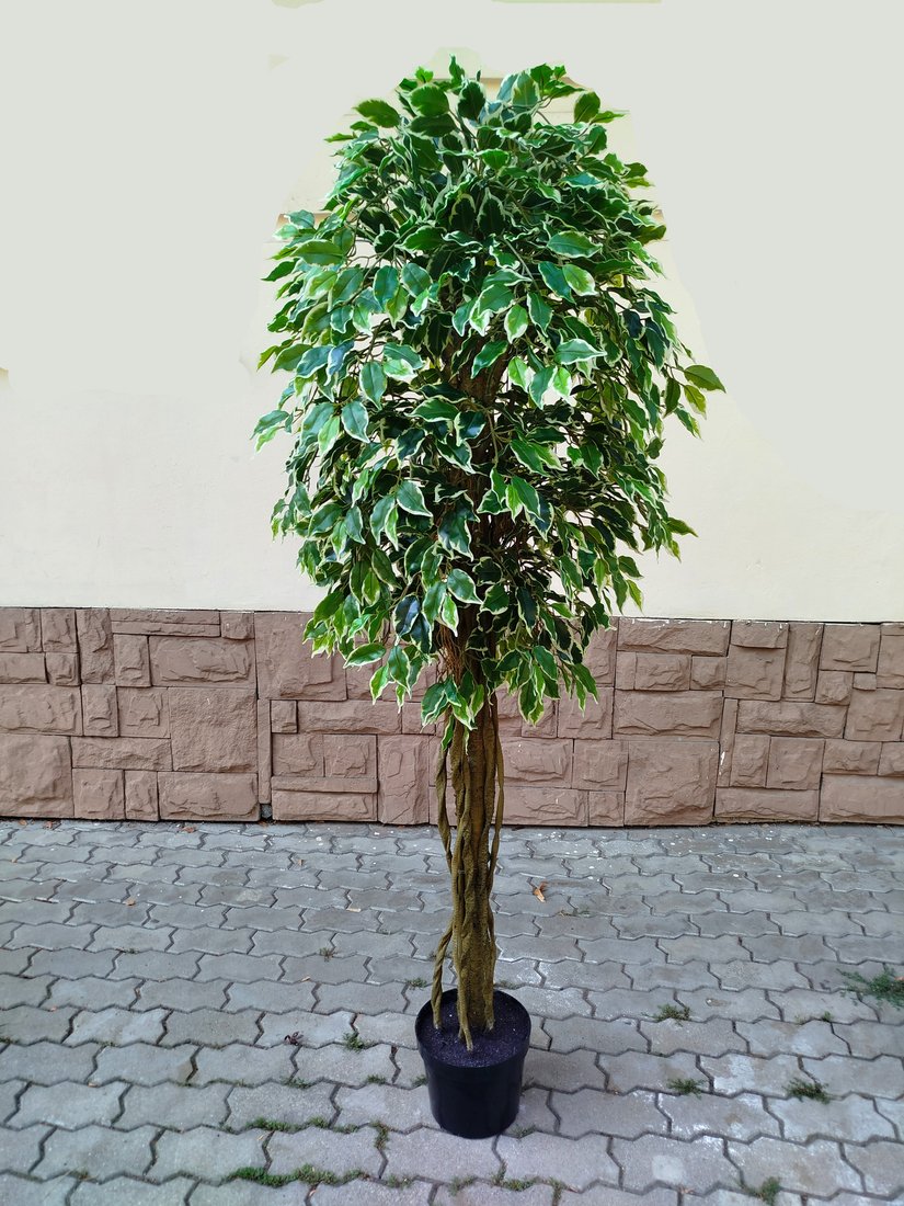Искусственное растение Forgarden Ficus Liana BN11274