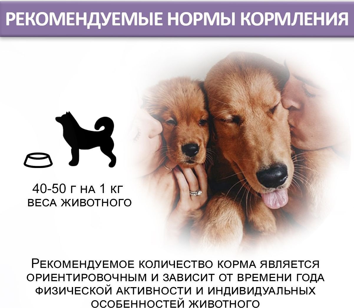 Консервированный корм для собак Edel Телятина с печенью 850 г