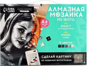 Алмазная мозаика Школа талантов Gray 10699405