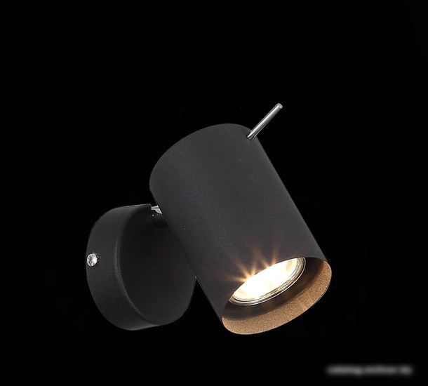 Спот ST Luce Fanale SL597.401.01
