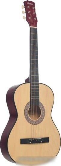 Акустическая гитара Terris TF-3802A NA