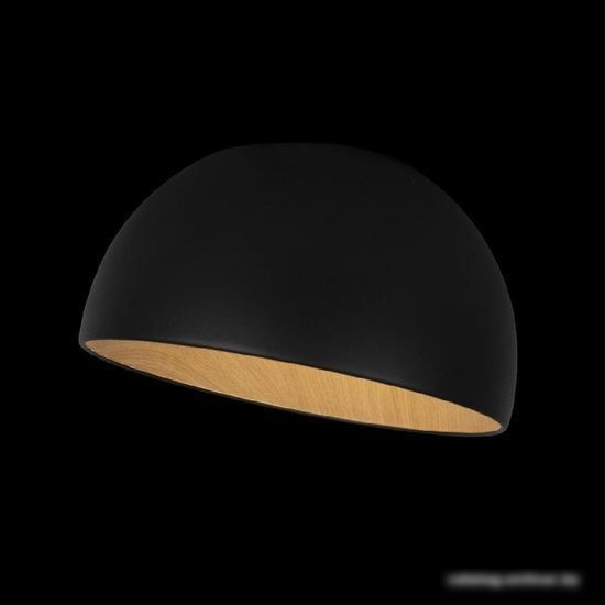 Люстра средней высоты LOFT IT Egg 10197/350 (черный)