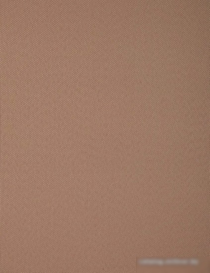 Мини рулонные шторы Delfa Сантайм Роял СРШП-05В 2880 48x170 (какао)