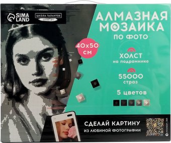 Алмазная мозаика Школа талантов Gray 10699412