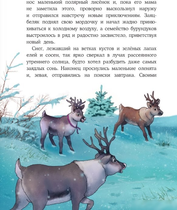 Книга издательства АСТ. Пони Колокольчик. Чудеса на Северном полюсе, твердая обложка (Мозер Аннетта)