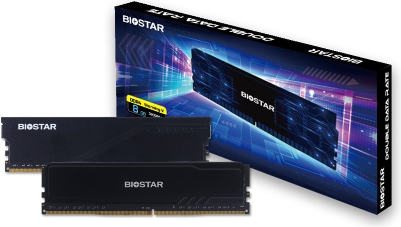Оперативная память BIOSTAR Storming V 8ГБ DDR4 3200 МГц