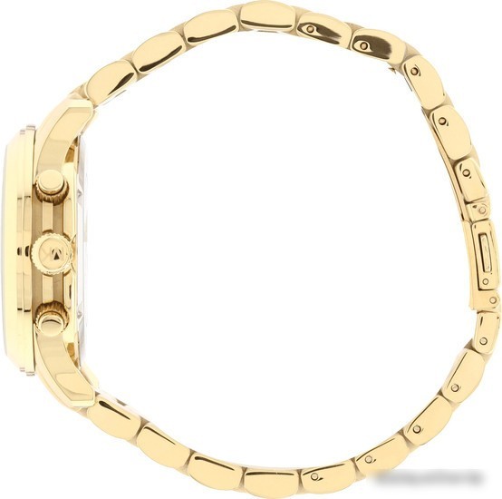 Наручные часы Michael Kors MK5055
