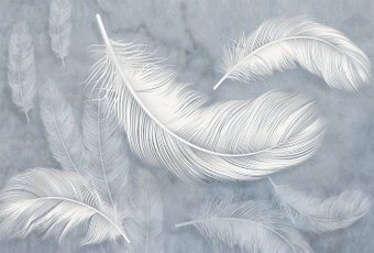 Фотообои Vimala Белые перья 270x400