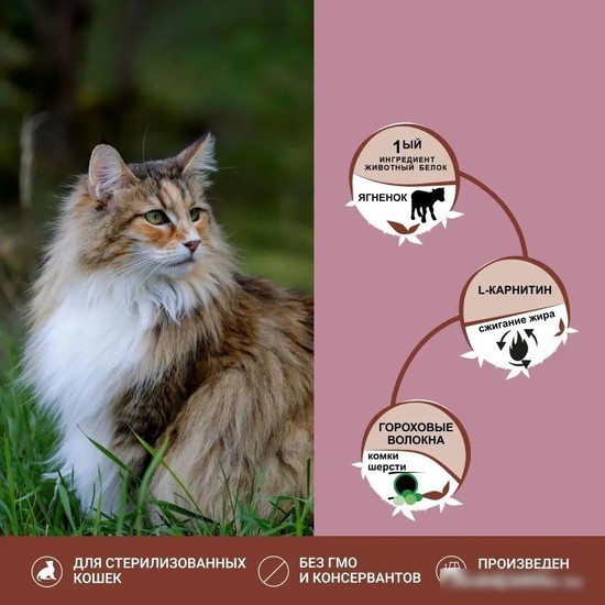 Сухой корм для кошек Unica Classe Lovely Care Condition Adult Sterilized Luxury Hairball Lamb (для здоровья шерсти с ягненком) 300 г