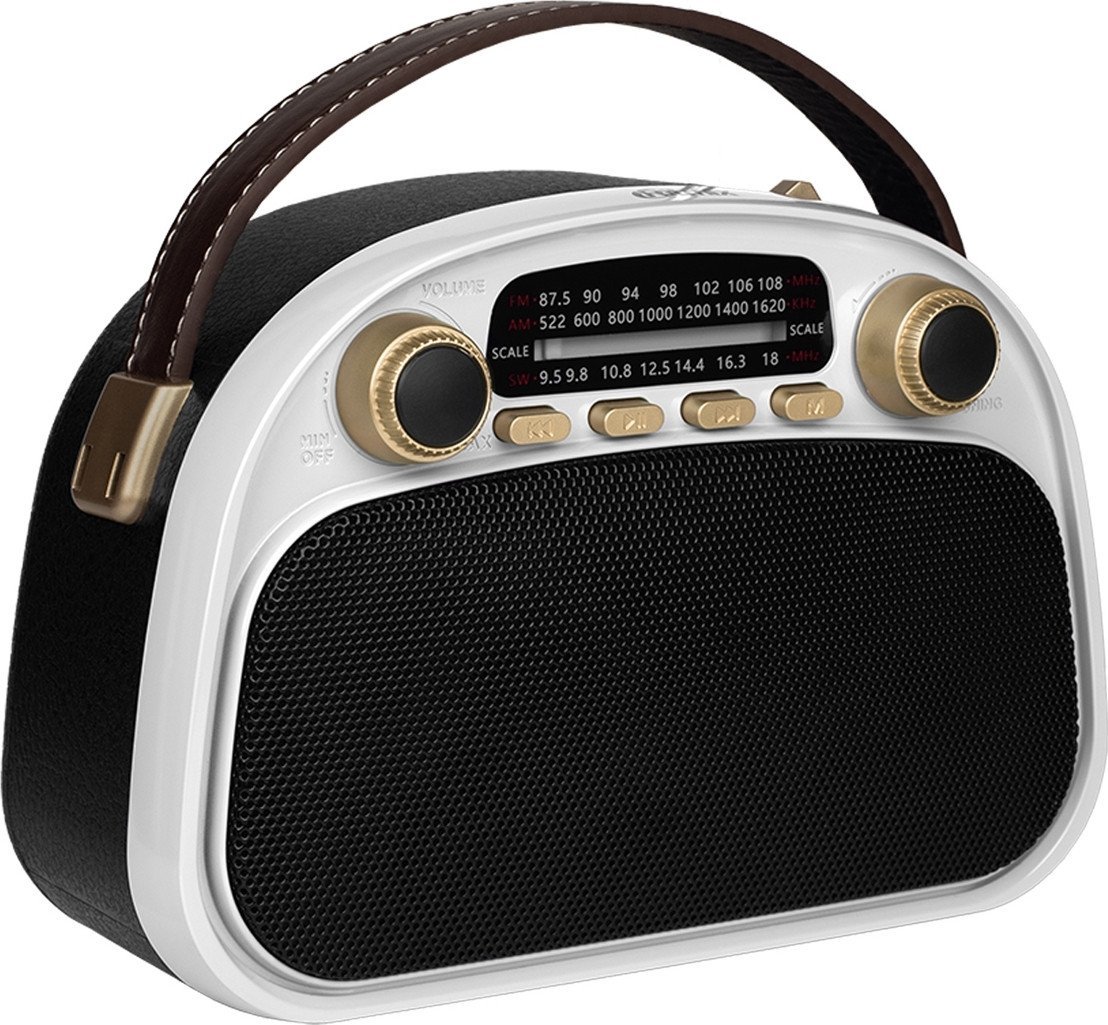 Радиоприемник Ritmix RPR-040 (белый)