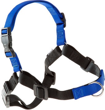 Шлея Ferplast Coach P S-M 75556025 (синий)
